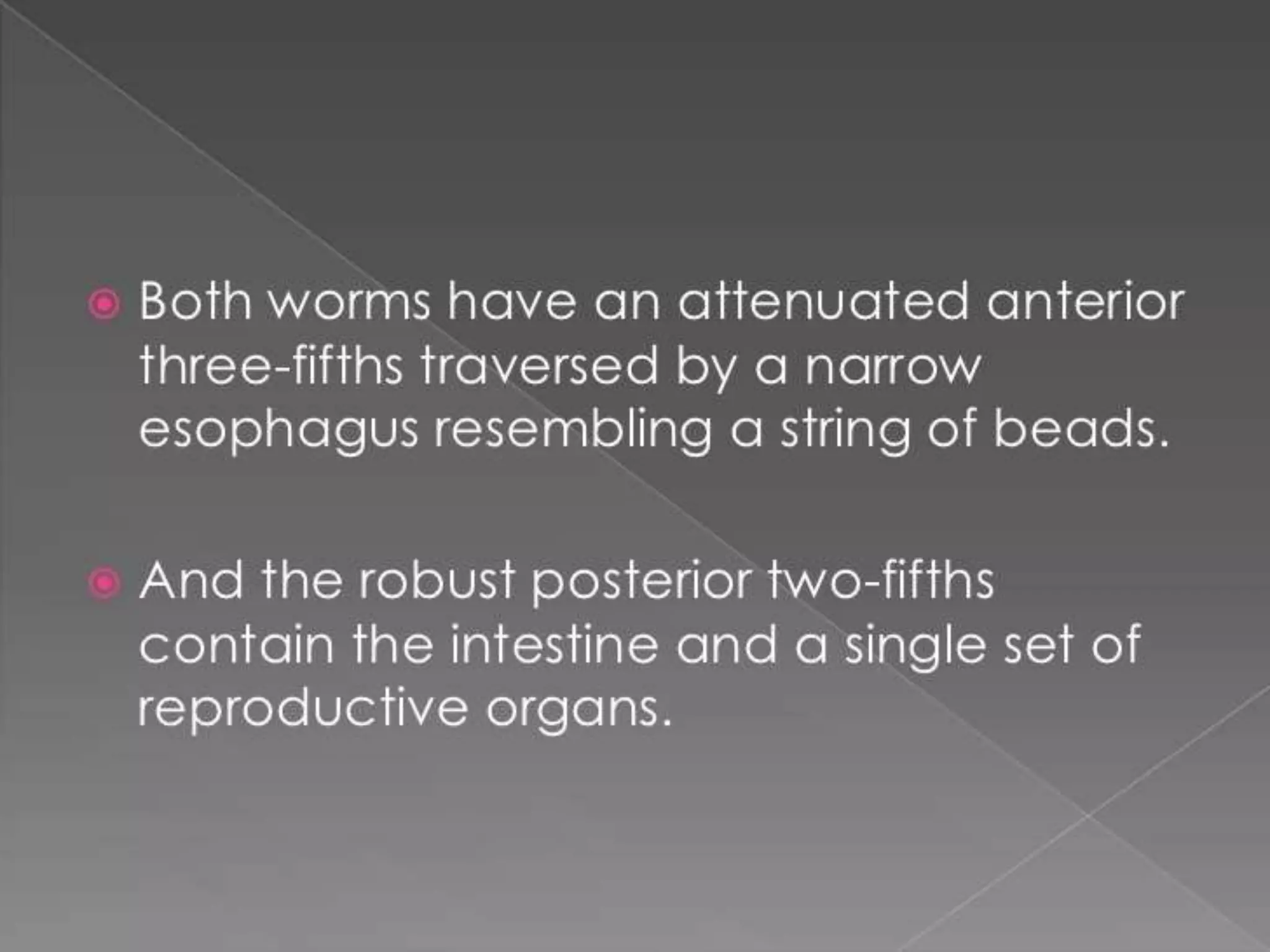 Worm infestation:tape worm and hook worm