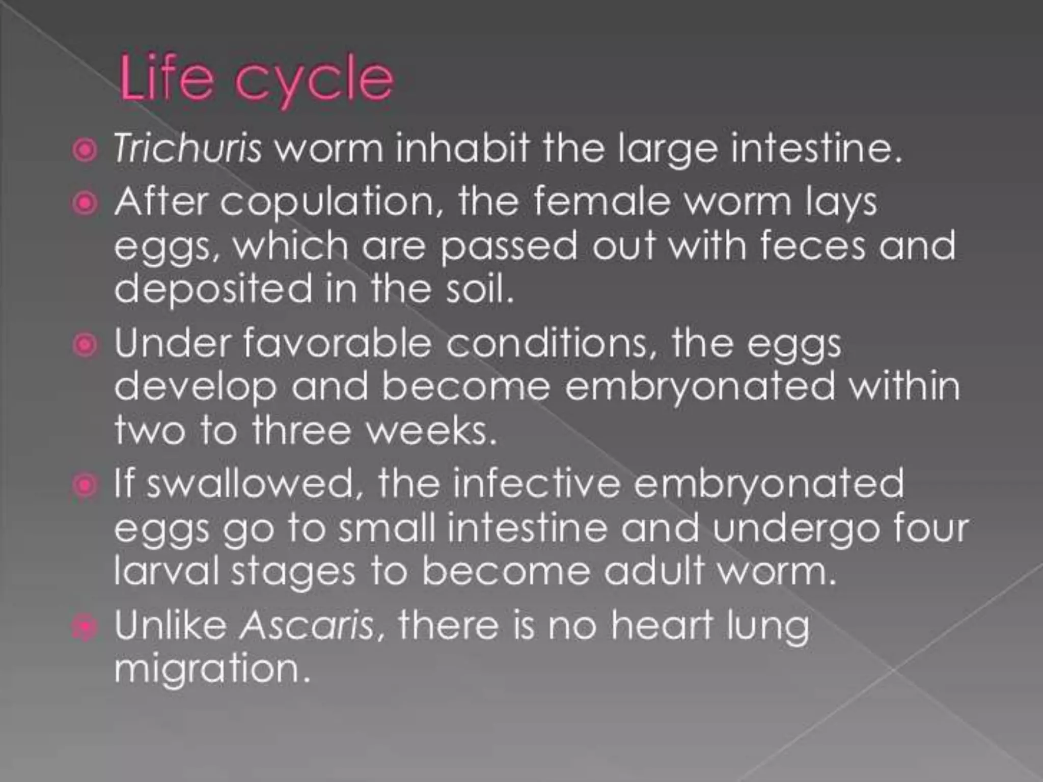 Worm infestation:tape worm and hook worm