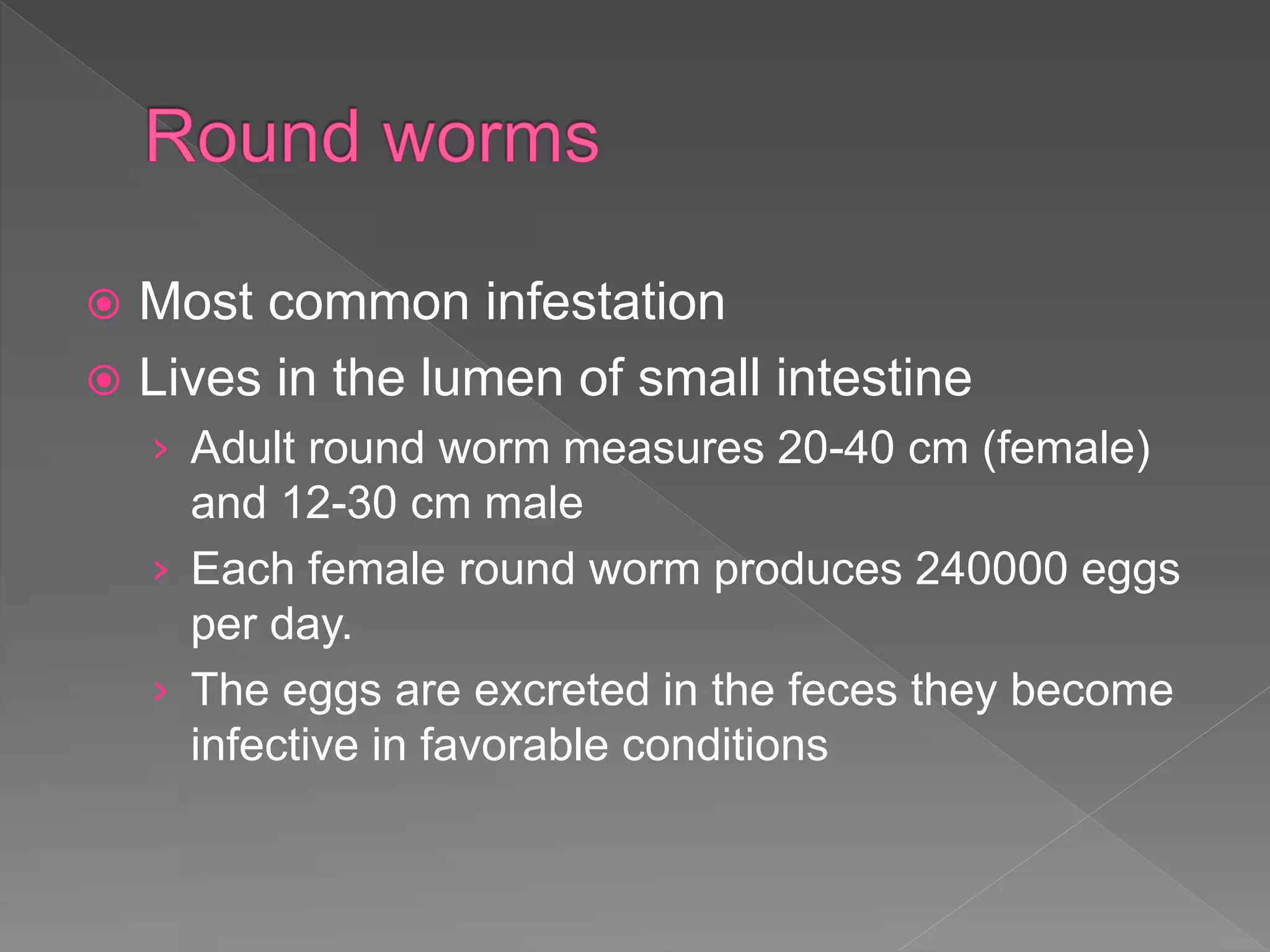  Most common infestation
Lives in the lumen of small intestine
› Adult round worm measures 20-40 cm (female)
and 12-30 cm male
› Each female round worm produces 240000 eggs
per day.
› The eggs are excreted in the feces they become
infective in favorable conditions