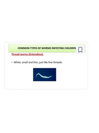 Worm Infested Cc WWorm infestation refers to the presence of parasitic worms (helminths ...