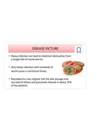 Infested Body WWorm infestation refers to the presence of parasitic worms (helminths ...