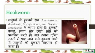 Worm infestation in children hindi | PPTX
