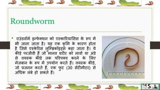 Worm infestation in children hindi | PPTX
