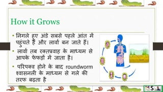 Worm infestation in children hindi | PPTX
