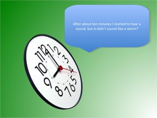 After about ten minutes I started to hear a sound, but it didn’t sound like a worm? 