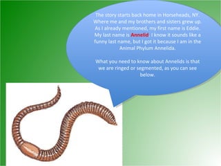 The story starts back home in Horseheads, NY. Where me and my brothers and sisters grew up. As I already mentioned, my first name is Eddie. My last name is  Annelid . I know it sounds like a funny last name, but I got it because I am in the Animal Phylum Annelida. What you need to know about Annelids is that we are ringed or segmented, as you can see below. 