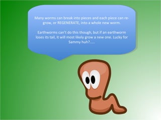 Many worms can break into pieces and each piece can re-grow, or REGENERATE, into a whole new worm. Earthworms can’t do this though, but if an earthworm loses its tail, it will most likely grow a new one. Lucky for Sammy huh?..... 