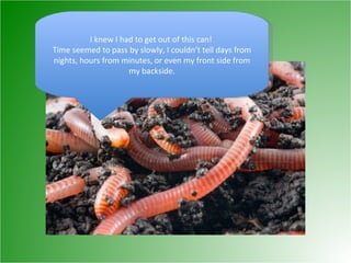 I knew I had to get out of this can!  Time seemed to pass by slowly, I couldn’t tell days from nights, hours from minutes, or even my front side from my backside. 