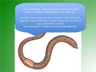 I was just thinking… you may not know much about earth worms, so maybe I should tell you a little about us… First off, as an Annelid, you may remember, I am made up of segments. I kind of look like a vacuum cleaner hose ( a series of rings, separated by grooves) As an earthworm I usually have at least 100 segments. 