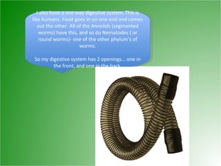 I also have a one way digestive system. This is like humans. Food goes in on one end and comes out the other. All of the Annelids (segmented worms) have this, and so do Nematodes ( or round worms)- one of the other phylum’s of worms. So my digestive system has 2 openings… one in the front, and one in the back. 