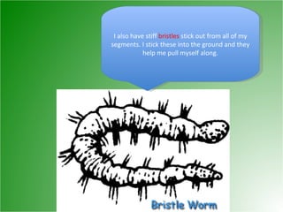 I also have stiff  bristles  stick out from all of my segments. I stick these into the ground and they help me pull myself along. 