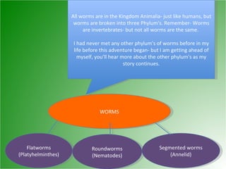 All worms are in the Kingdom Animalia- just like humans, but worms are broken into three Phylum's. Remember- Worms are invertebrates- but not all worms are the same.  I had never met any other phylum's of worms before in my life before this adventure began- but I am getting ahead of myself, you’ll hear more about the other phylum's as my story continues. WORMS Flatworms (Platyhelminthes) Roundworms (Nematodes) Segmented worms (Annelid) 