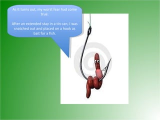 As it turns out, my worst fear had come true. After an extended stay in a tin can, I was snatched out and placed on a hook as bait for a fish. 