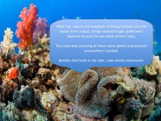 After the  splash and mayhem of being hoisted into the water from a boat, things started to get quiet and I opened my eyes to see what where I was. The view was amazing at there were plants and animals everywhere I looked. Besides the hook in my side, I was pretty impressed. 