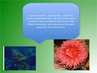 I saw a anemone… and a sponge… two of the simple invertebrates that I had just learned about in school. I was a lot different than them. I had Bilateral symmetry, was organized at the organ level, and I even had a brain! 