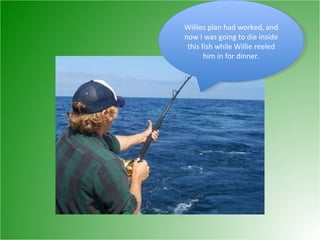 Willies plan had worked, and now I was going to die inside this fish while Willie reeled him in for dinner. 