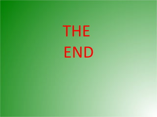 THE  END 