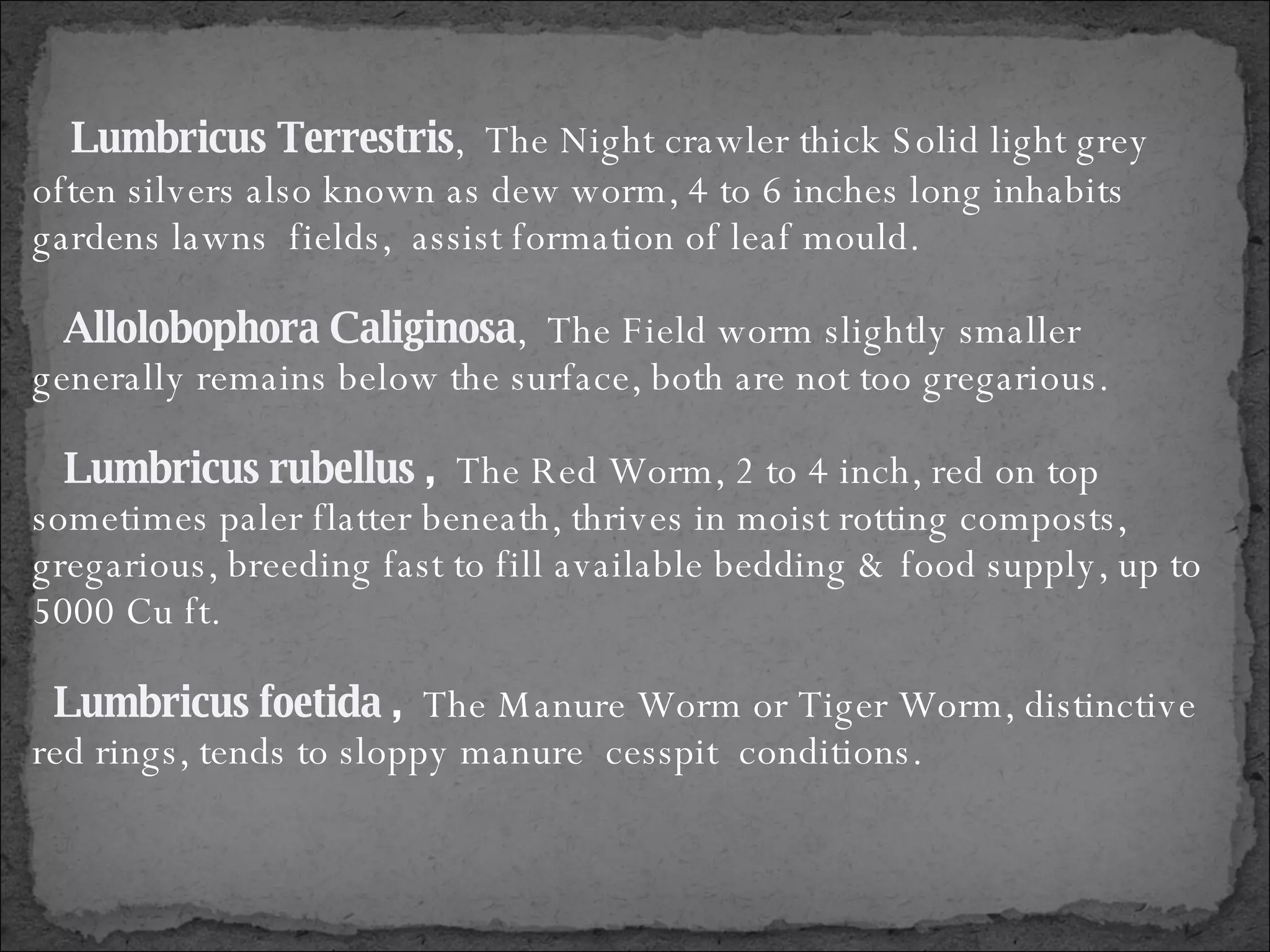 Lumbricus Terrestris ,  The Night crawler thick Solid light grey often silvers also known as dew worm, 4 to 6 inches long inhabits gardens lawns  fields,  assist formation of leaf mould. Allolobophora Caliginosa ,  The Field worm slightly smaller generally remains below the surface, both are not too gregarious. Lumbricus rubellus  ,  The Red Worm, 2 to 4 inch, red on top sometimes paler flatter beneath, thrives in moist rotting composts, gregarious, breeding fast to fill available bedding & food supply, up to 5000 Cu ft. Lumbricus foetida  ,  The Manure Worm or Tiger Worm, distinctive red rings, tends to sloppy manure  cesspit  conditions. 