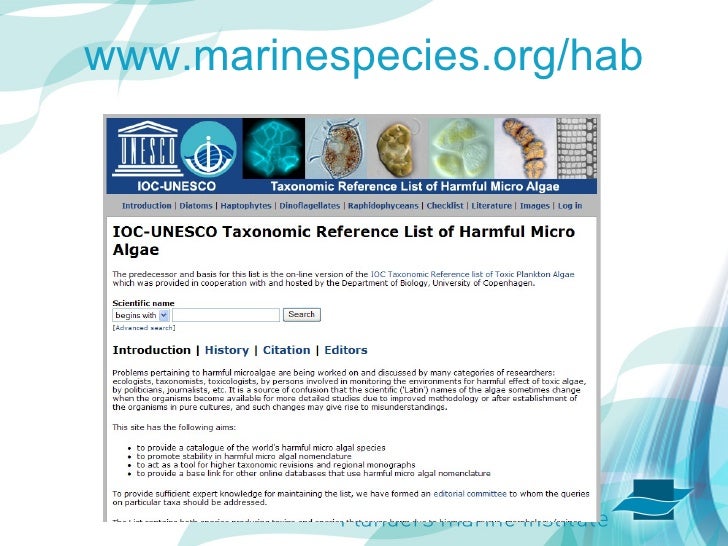 WORLD REGISTER OF MARINE SPECIES AND THE CATALOGUE OF LIFE