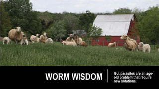 WORM WISDOM
Gut parasites are an age-
old problem that require
new solutions.
 