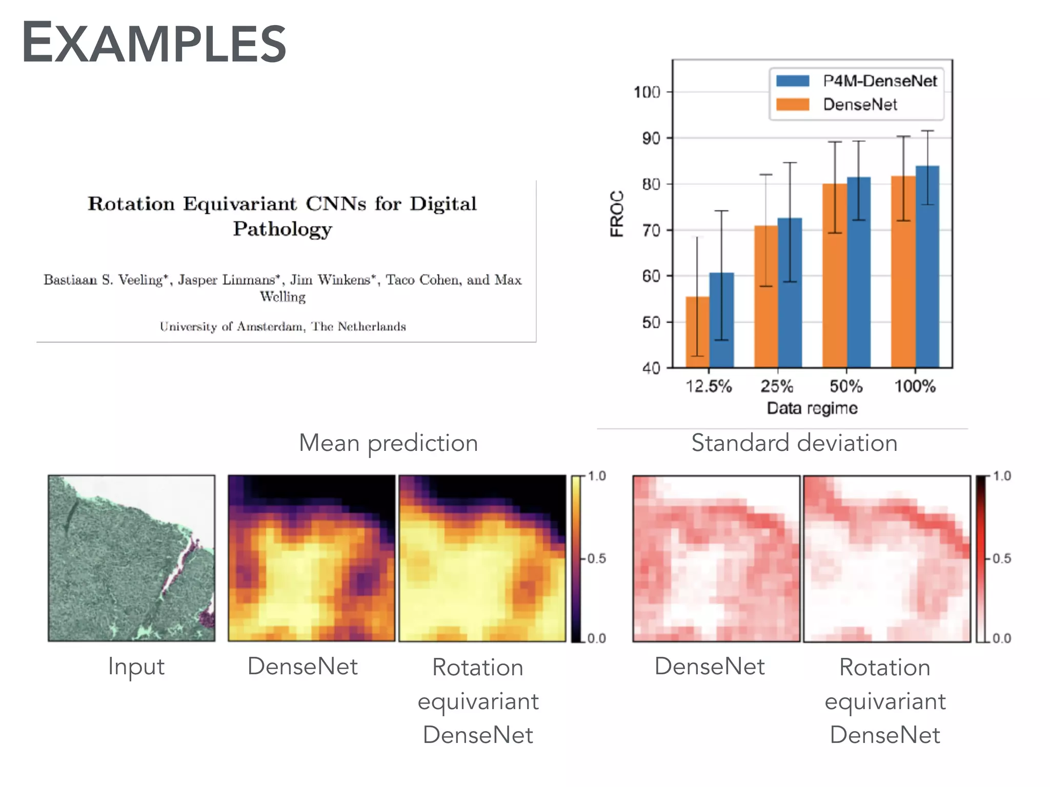 DenseNet Rotation
equivariant
DenseNet
DenseNet Rotation
equivariant
DenseNet
Input
Mean prediction Standard deviation
EXAMPLES
 
