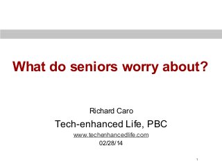 What do seniors worry about?
Richard Caro

Tech-enhanced Life, PBC
www.techenhancedlife.com
02/28/14
1

 
