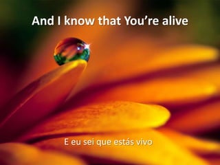 And I know that You’re alive

E eu sei que estás vivo

 