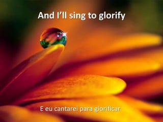 And I’ll sing to glorify

E eu cantarei para glorificar

 