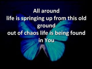 All around life is springing up from this old ground out of chaos life is being found in You 