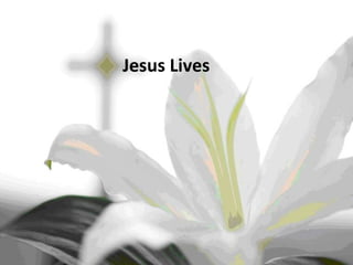 Jesus Lives 