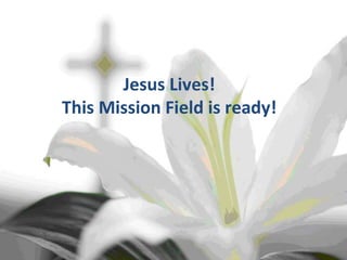 Jesus Lives! This Mission Field is ready! 