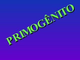 PRIMOGÊNITO 