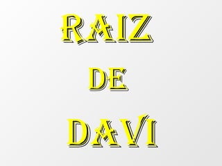 RAIZ  DE  DAVI 