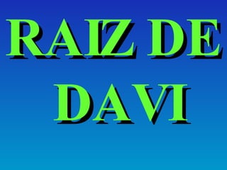 RAIZ DE DAVI 