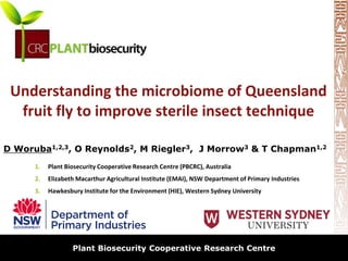 biosecurity built on science
Understanding the microbiome of Queensland
fruit fly to improve sterile insect technique
1. Plant Biosecurity Cooperative Research Centre (PBCRC), Australia
2. Elizabeth Macarthur Agricultural Institute (EMAI), NSW Department of Primary Industries
3. Hawkesbury Institute for the Environment (HIE), Western Sydney University
Plant Biosecurity Cooperative Research Centre
D Woruba1,2,3, O Reynolds2, M Riegler3, J Morrow3 & T Chapman1,2
 