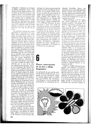 sometidos a limpieza con detergen-
te deben mantenerse secos y bajo
abrigo durante largos períodos, has-
ta tanto se renueven las ceras, Una
solución obvia a este problema sería
tratar a las aves con una cera artifi-
cial sintética que se empleara des-
pués de la limpieza. Esta es la idea
que Odham y Stenhagen han estado
investigando, Ellos han analizado las
ceras de la glándula preen de varias
especies de aves en un intento por
descubrir cuál tipo de cera se ne-
cesita,
_ Los químicos siempre han tenido
dificultad en caracterizar las ceras.
Ellas están compuestas por ácidos
grasos de cadena larga unidos a al-
coholes de cadena larga por uniones
éster y siempre ha sido arduo iden-
tificar los diversos ácidos y alcoholes
incluidos en ellas. Pero las técnicas
modernas de la cromatografía de gas
y la espectrometría de masa han brin-
dado al químico un método rápido
para separar e identificar estos com-
ponentes. Odham y Stenhagen han
descubierto que las ceras producidas
por la glándula preen varían consi-
derablemente en las distintas espe-
cies. Los gansos domésticos, por
ejemplo, contienen solamente dos
clases de ácidos grasos, esterificados
a un único alcohol de cadena larga,
mientras que la cera de la uria,
una especie particularmente afecta-
da por el desastre del Torrey Can-
yon en 1967, contiene más de cien
ácidos grasos distintos y aproximada-
mente el mismo número de alcoho-
les. La mayoría de las otras especies
examinadas, principalmente patos y
cisnes, contienen uno o dos ácidos y
alcoholes principales con una com-
pleja mezcla de componentes secun-
darios. Evidentemente, las ceras pro-
ducidas naturalmente son, en la ma-
yoría de los casos, muy difíciles de
sintetizar en gran escala en el labo-
ratorio, de modo que Odham y Sten-
hagen han buscado las principales
características que estas ceras tienen
en común: las ceras deben ser satu-
radas y no cristalizables. En la na-
turaleza ésto se logra ya sea con un
solo alcohol principal y una o dos
cadenas de ácidos muy ramificados o
por varios ácidos monorramificados
y alcoholes de largas cadenas norma-
les o con una sola ramificación.
_ Las ceras sintéticas que ellos de-
cidieron emplear contienen princi-
palmente un ácido graso ramificado,
esterificado a un alcohol de cadena
larga; ambos se encuentran en la ce-
ra de diversas especies de aves. Sin
44
embargo, los intentos para rociar los
pájaros con esta cera después de lim-
piarlos no ha tenido mucho éxito,
ya que el exceso de cera presenta el
mismo efecto perjudicial que el pe-
tróleo original. Para superar ésto,
ellos desarrollaron un esquema del
tipo "el brillo aparece a medida que
usted limpia", slogan inmortalizado
en la publicidad televisiva de ceras
para pisos y autos. Por medio de
una técnica especial, la cera sintética
se incorpora a una solución liviana de
detergente que se usa para remover
el petróleo de los pájaros; de este
modo después de la limpieza queda
sobre las plumas una adecuada capa
de cera. Esta combinación de limpie-
za-encerado ya ha sido probada en
aves contaminadas con petróleo en
Gaulein, Escandinavia, habiéndose
limpiado con éxito y dejado en li-
bertad nuevamente a 75 pájaros en
el término de una quincena.
6Flores: consecuencia
de un tira y afloja
bioquímico
La explicación de por qué las plan-
tas dan flores cuando las dan, es un
asunto un tanto misterioso. Empe-
ro, durante algunos años, se aducía
que una hormona del crecimiento
—la fio rigen a— era la causante del
florecimiento en condiciones de ilu-
minación favorables. Ahora, dos
científicos de la universidad de Utah,
Estados Unidos, han reunido prue-
bas que indican que el florecimiento
está regulado por un mecanismo de
control más complejo que lo que an-
teriormente se creía.
Frank Salisbury y D. D. Gibby
han estado analizando una planta
llamada cocklehur (Xanthium stro-
marium) que florece cuando se ex-
pone a "días cortos" (solamente
ocho horas de luz en 24); los pe-
ríodos de iluminación mayores a éste
impiden el florecimiento. Ellos pu-
dieron demostrar que si a una plan-
ta de cocklebur se le quitaban todas
las hojas menos una, el tratamiento
de "día corto" (DC) podía aún cau-
sar el florecimiento. Más aún, si ilu-
minaban en forma continua el extre-
mo de la hoja mientras que sometían
al tratamiento DC al segmento de la
base, todavía podía lograrse el flore-
cimiento. Pero, si se invertía este
proceso, es decir, si se exponía el ex-
tremo a iluminación DC y al resto se
lo mantenía continuamente ilumina-
do, el florecimiento se veía impedi-
do. De este modo, parecería que los
períodos largos de iluminación pro-
dujeran un inhibidor que entra a
competir con un estimulante del flo-
recimiento, liberado durante el tra-
tamiento de DC.
Salisbury y Gibby siguieron inves-
tigando este balanceo estimulante-
inhibitorio y se encontraron con una
situación bastante curiosa. Dejaron
sólo dos hojas en un brote, una hoja
ubicada en la parte inferior, a la que
aplicaron un tratamiento DC y una
en la parte superior que sometieron
a luz continua, descubriendo que se
había evitado el florecimiento. La
inhibición fue detenida empero al
 