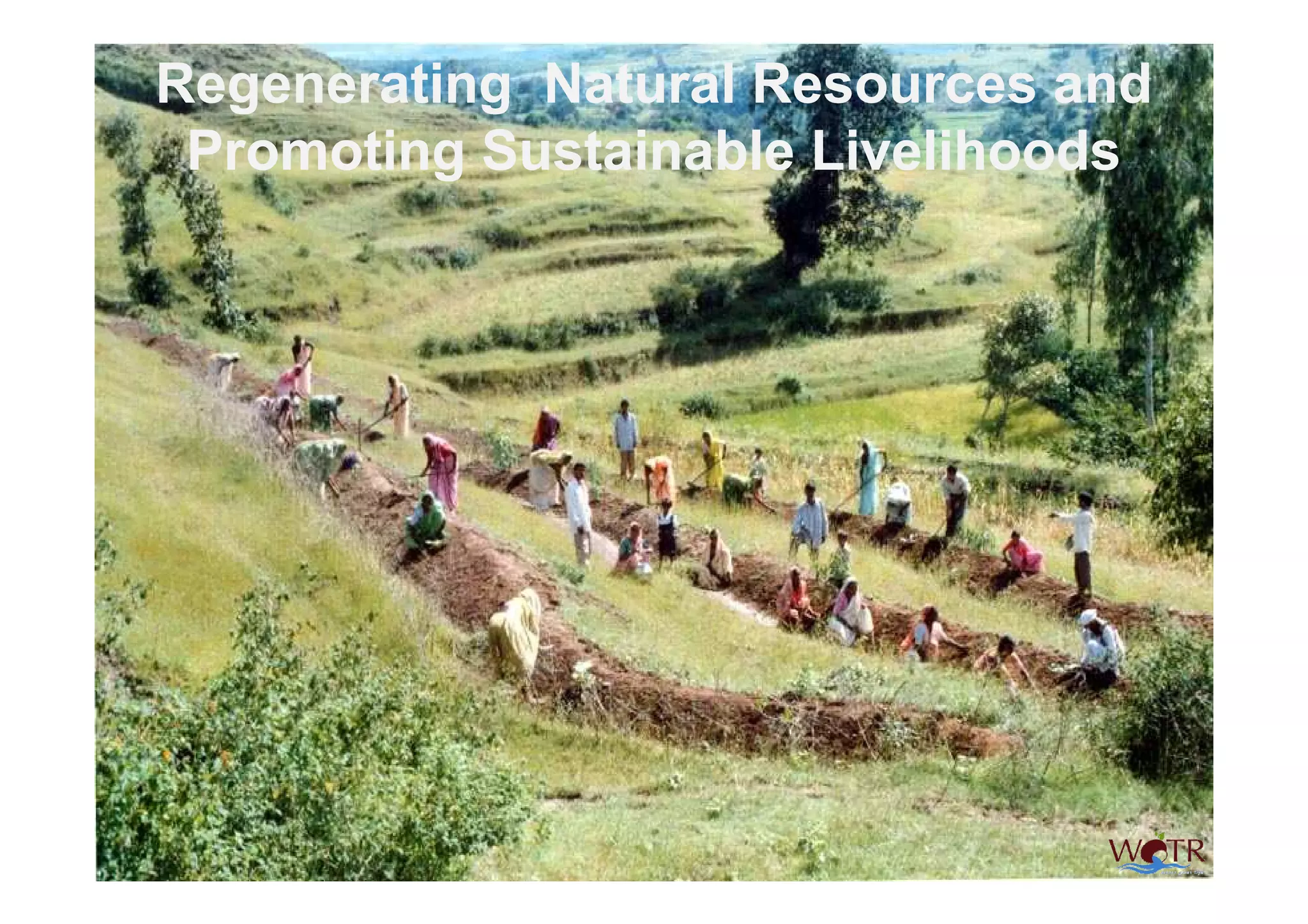 Regenerating Natural Resources and
 Promoting Sustainable Livelihoods




           Watershed Organisation Trust (WOTR)   26
 