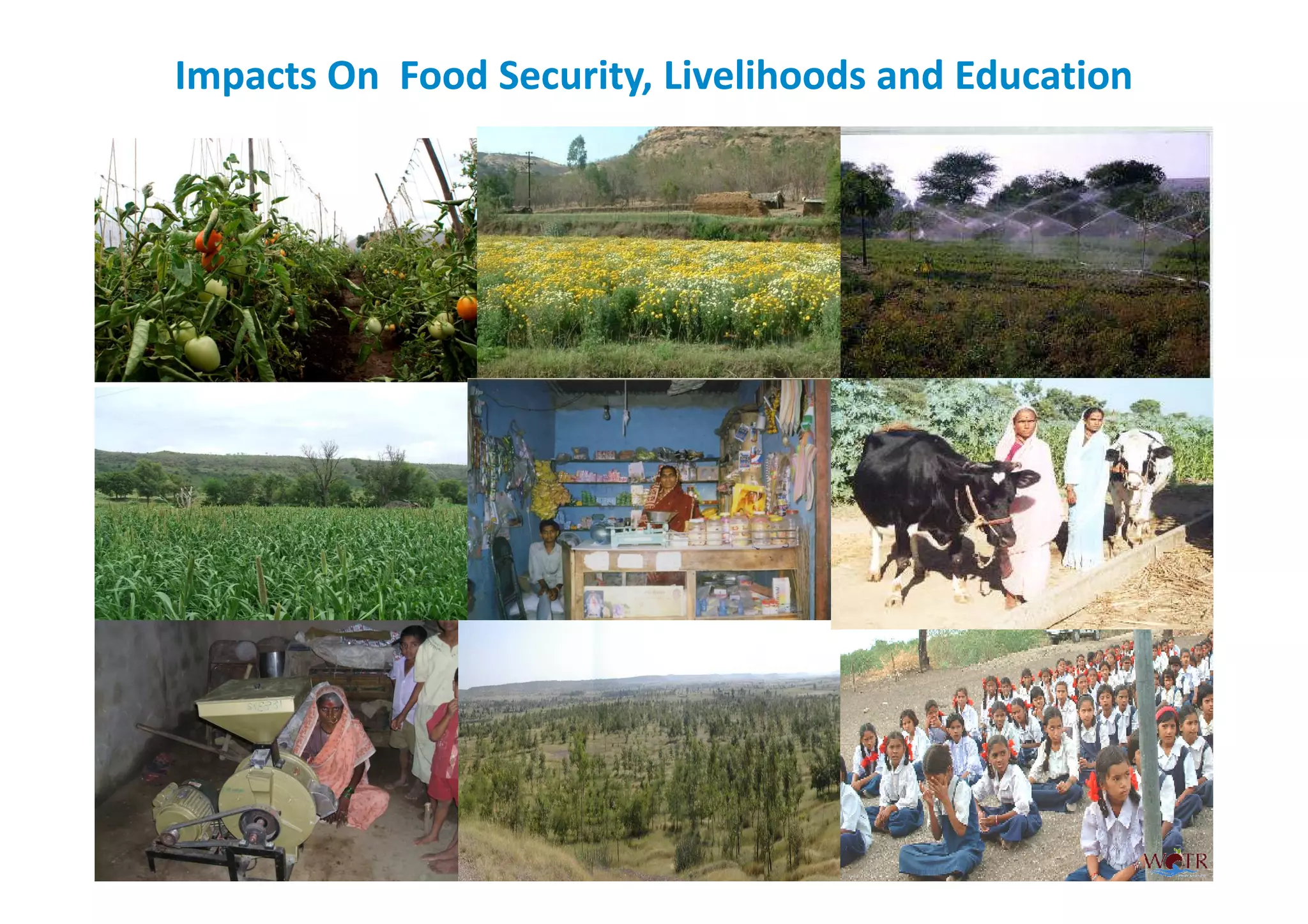 Impacts On Food Security, Livelihoods and Education
 