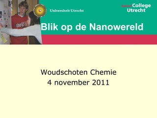 Blik op de Nanowereld Woudschoten Chemie 4 november 2011 