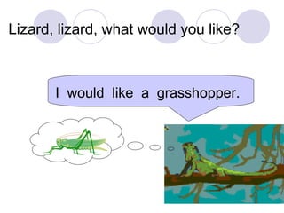 Lizard, lizard, what would you like?
I would like a grasshopper.
 