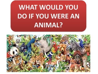 WHAT WOULD YOU
DO IF YOU WERE AN
ANIMAL?
