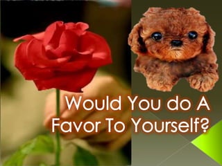 Would You do A Favor To Yourself? 