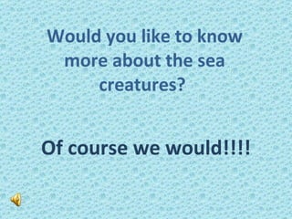 Would you like to know more about the sea creatures?  Of course we would!!!! 