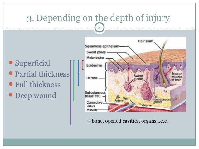 Recognition and management of wound infections