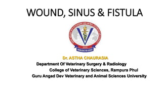 WOUND, SINUS & FISTULA
Dr. ASTHA CHAURASIA
Department Of Veterinary Surgery & Radiology
College of Veterinary Sciences, Rampura Phul
Guru Angad Dev Veterinary and Animal Sciences University
 
