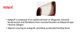 Wound Healing According to Modern and Ayurveda | PPTX