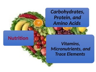 Nutrition
Carbohydrates,
Protein, and
Amino Acids
Vitamins,
Micronutrients, and
Trace Elements
 