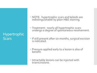 Hypertrophic
Scars
 NOTE: hypertrophic scars and keloids are
indistinguishable by plain H&E staining.
 Treatment: nearly all hypertrophic scars
undergo a degree of spontaneous resolvement.
 If still present after six months, surgical excision
is indicated.
 Pressure applied early to a lesion is also of
benefit.
 Intractable lesions can be injected with
triamcinolone.
 
