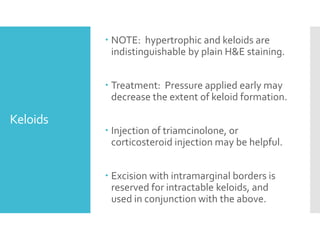 Keloids
 NOTE: hypertrophic and keloids are
indistinguishable by plain H&E staining.
 Treatment: Pressure applied early may
decrease the extent of keloid formation.
 Injection of triamcinolone, or
corticosteroid injection may be helpful.
 Excision with intramarginal borders is
reserved for intractable keloids, and
used in conjunction with the above.
 