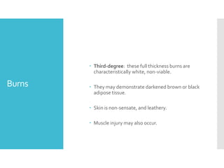 Burns
 Third-degree: these full thickness burns are
characteristically white, non-viable.
 They may demonstrate darkened brown or black
adipose tissue.
 Skin is non-sensate, and leathery.
 Muscle injury may also occur.
 